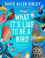 What It's Like to Be a Bird  From Flying to Nesting Eating to SingingWhat Birds Are Doing and Why