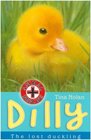 Dilly The Lost Duckling