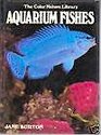 Aquarium Fishes