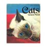 The Arco book of cats