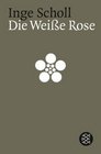 Die WeiBe Rose