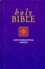 New International Version Bible Economy Ed