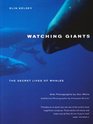 Watching Giants The Secret Lives of Whales