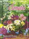 Making the Most of Clematis