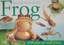 The Life Story of the Frog