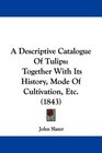 A Descriptive Catalogue Of Tulips Together With Its History Mode Of Cultivation Etc