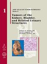 Tumors of the Kidney Bladder and Related Urinary Structures 2004