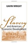 Slavery and American Economic Development