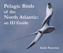 Pelagic Birds of the North Atlantic