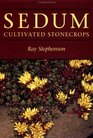 Sedum Cultivated Stonecrops