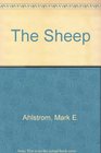 The Sheep  Series
