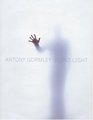 Antony Gormley Blind Light