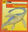 Looking AtPlesiosaurus A Marine Reptile from the Jurassic Period