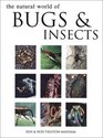 Natural World of Bugs and Insects