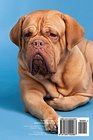 Password notebook Mediumsize internet address and password logbook / journal / diary  French Mastiff cover