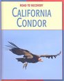 California Condor