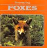 Discovering Foxes