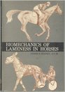 Biomechanics of Lameness in Horses