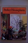 Essential Guide to Perfect House Plants