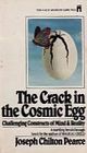 The Crack In The Cosmic Egg