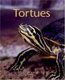 Les tortues