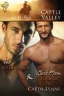 Cattle Valley Vol 11 The O'Brien Way / Ghost From the Past
