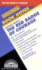 Stephen Crane's the Red Badge of Courage