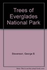 Trees of Everglades National Park