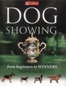 Collins Dog Showing From Beginners to Winners