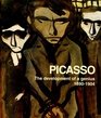 Picasso The Development of a Genius 18901904