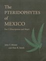 The Pteridophytes of Mexico  Part 1   Ships in 46 business days
