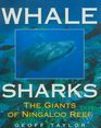 Whale Sharks The Giants of Ningaloo Reef