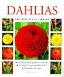 New Plant Library Dahlias
