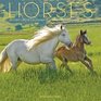 HORSES 2010 CALENDAR
