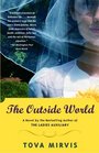 The Outside World (Vintage Contemporaries)