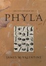 On the Origin of Phyla