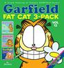 Garfield Fat Cat 3Pack 12