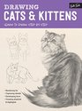Drawing Cats  Kittens Learn to draw step by step