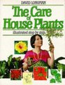 The Care of House Plants
