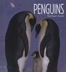 Penguins