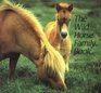 The Wild Horse Family Book