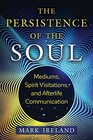 The Persistence of the Soul Mediums Spirit Visitations and Afterlife Communication