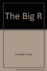 The Big R An Internal Auditing Action Adventure