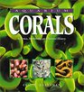Aquarium Corals  Selection Husbandry and Natural History