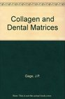 Collagen and Dental Matrices