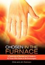 Chosen in the Furnace A Testimony of Survival and a Guide to All Those Who Desire to Be Encouragers