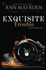 Exquisite Trouble
