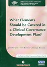What Elements Should be Covered in a Clinical Governance Development Plan