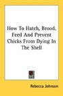 How To Hatch Brood Feed And Prevent Chicks From Dying In The Shell