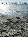 In the Footsteps of Sheep: Tales of a Journey Through Scotland, Walking, Spinning, and Knitting Socks